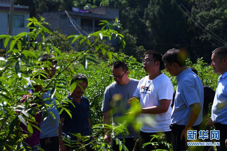 （決戰(zhàn)決勝脫貧攻堅&middot;圖文互動）（3）&ldquo;堵槍眼&rdquo;的脫貧戰(zhàn)怎么打？&mdash;&mdash;繼光村見聞