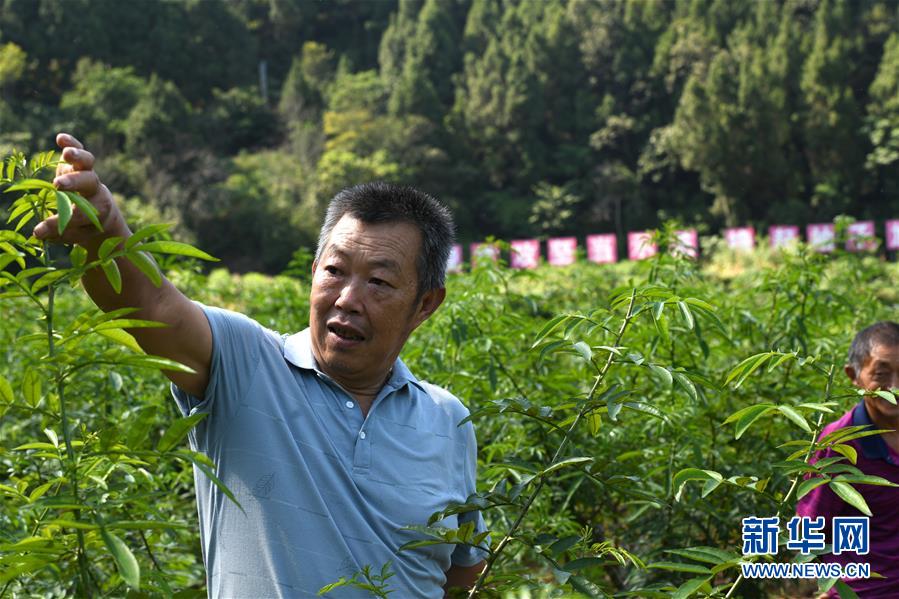 （決戰(zhàn)決勝脫貧攻堅&middot;圖文互動）（4）&ldquo;堵槍眼&rdquo;的脫貧戰(zhàn)怎么打？&mdash;&mdash;繼光村見聞