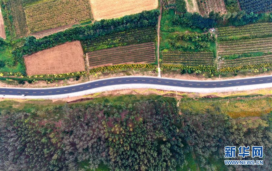 （新華全媒頭條&middot;圖文互動）（4）從&ldquo;四亂&rdquo;突出到生態(tài)修復(fù) 黃河漸成中原&ldquo;綠飄帶&rdquo;