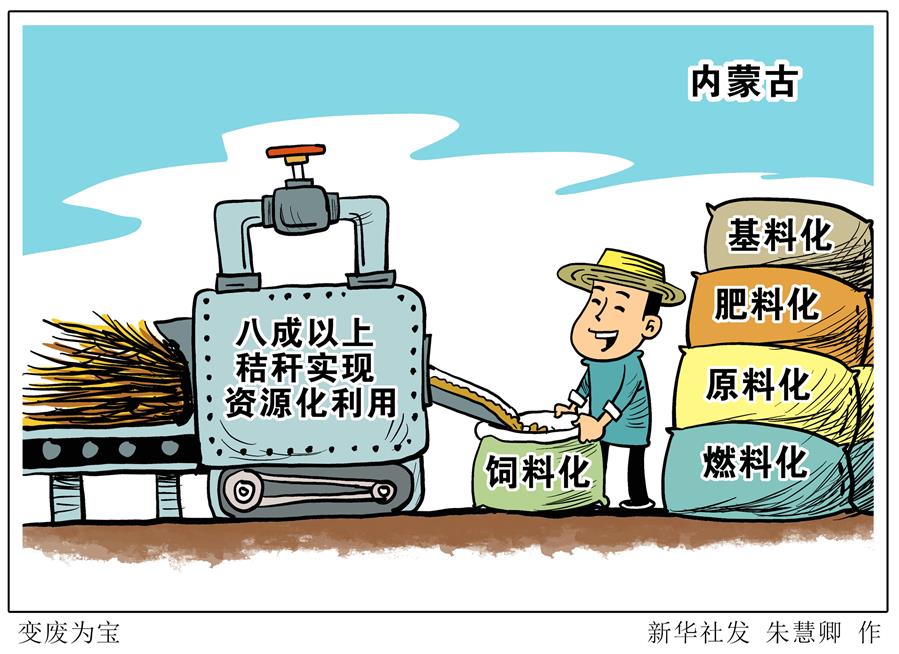 （圖表&middot;漫畫(huà)）［環(huán)境］變廢為寶