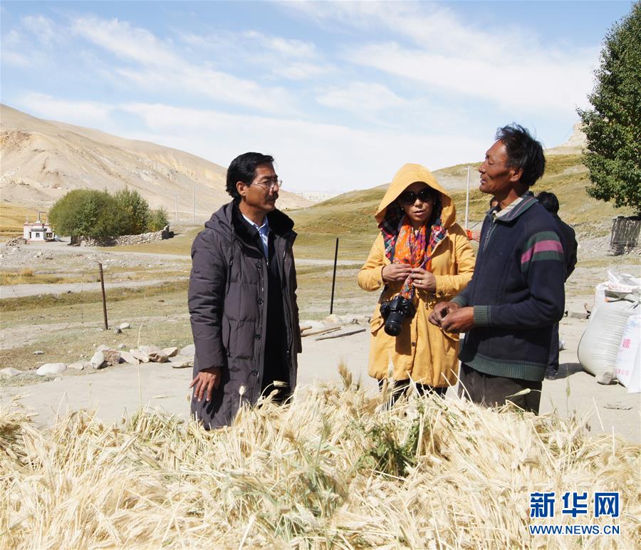 (新華全媒頭條·圖文互動(dòng))(6)愿做高原一粒種 化作金穗撒人間——追記我國(guó)青稞研究專家尼瑪扎西