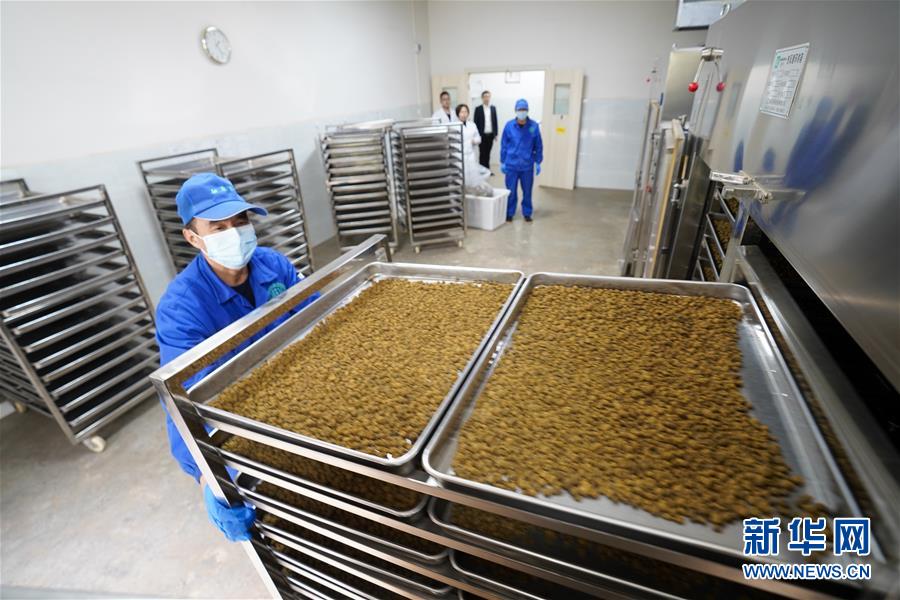 （決戰(zhàn)決勝脫貧攻堅(jiān)&middot;圖文互動(dòng)）（3）重慶三峽庫區(qū)從&ldquo;中華藥庫&rdquo;里探尋脫貧致富&ldquo;良方&rdquo;