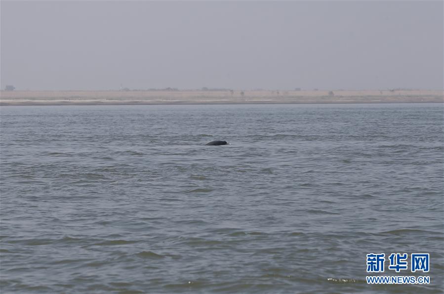 （五中全會精神在基層&middot;圖文互動）（2）岳陽治水添彩&ldquo;巴陵勝狀&rdquo;