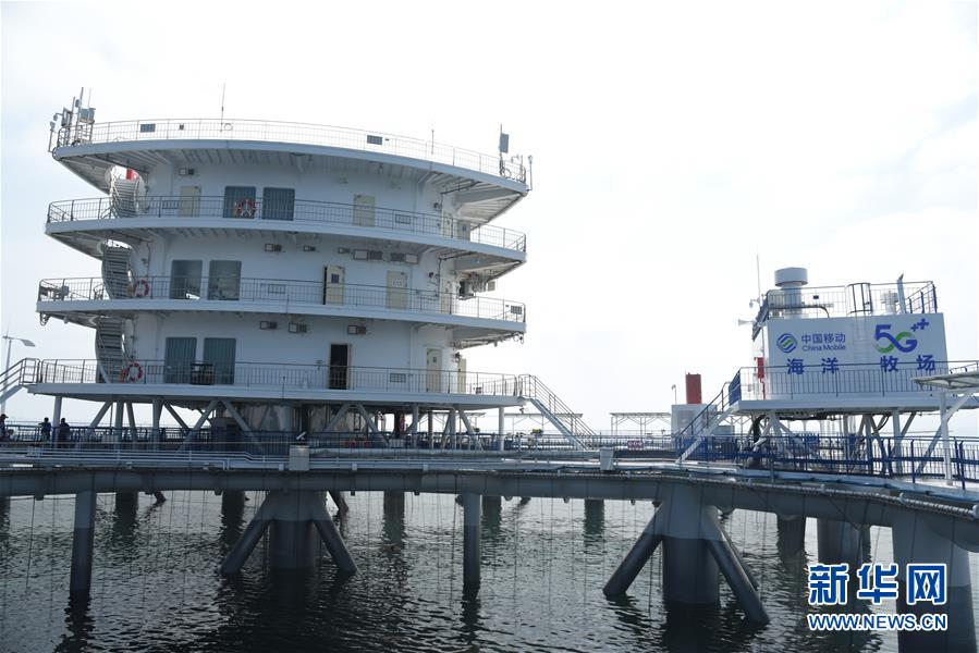 （新華全媒頭條&middot;圖文互動(dòng)）（6）&ldquo;拔&rdquo;海起牧場(chǎng) &ldquo;耕&rdquo;海新牧歌