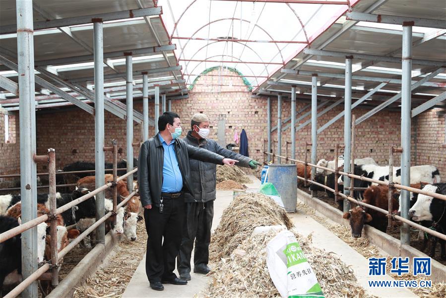 （新華全媒頭條&middot;迎接兩會(huì)特別報(bào)道&middot;圖文互動(dòng)）（5）不同尋常的兩會(huì) 萬(wàn)眾一心的力量&mdash;&mdash;寫在2020年全國(guó)兩會(huì)召開之際