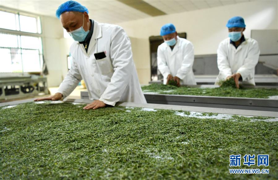 （新華全媒頭條&middot;圖文互動）（22）從人民中汲取磅礴力量&mdash;&mdash;習(xí)近平總書記同出席2020年全國兩會人大代表、政協(xié)委員共商國是紀(jì)實(shí)