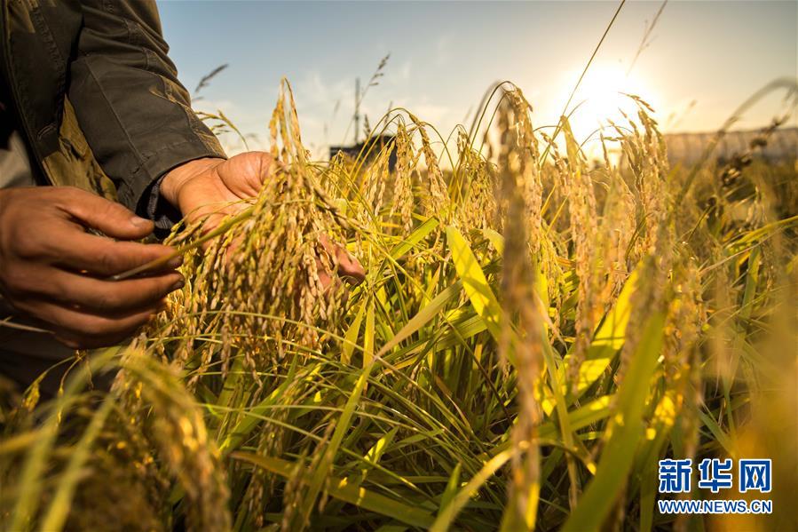 （新華全媒頭條&middot;圖文互動）（5）上下同心再出發(fā)&mdash;&mdash;習(xí)近平總書記同出席2019年全國兩會人大代表、政協(xié)委員共商國是紀(jì)實