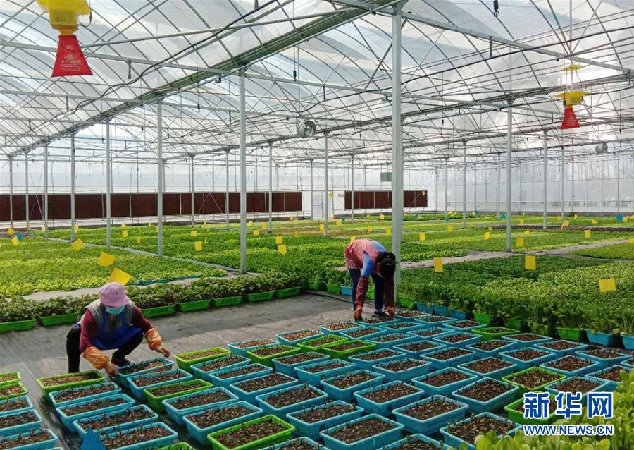 （在習(xí)近平新時代中國特色社會主義思想指引下&mdash;&mdash;新時代新作為新篇章&middot;習(xí)近平總書記關(guān)切事&middot;圖文互動）（5）抗疫之下 保供無憂