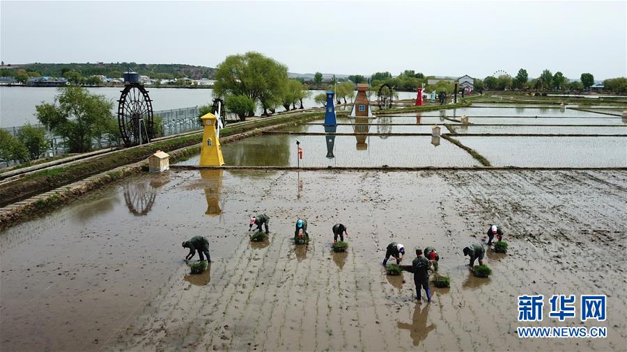 （在習(xí)近平新時(shí)代中國(guó)特色社會(huì)主義思想指引下&mdash;&mdash;新時(shí)代新作為新篇章&middot;習(xí)近平總書記關(guān)切事&middot;圖文互動(dòng)）（6）讓農(nóng)民挑上&ldquo;金扁擔(dān)&rdquo;&mdash;&mdash;農(nóng)業(yè)現(xiàn)代化的生動(dòng)實(shí)踐掃描