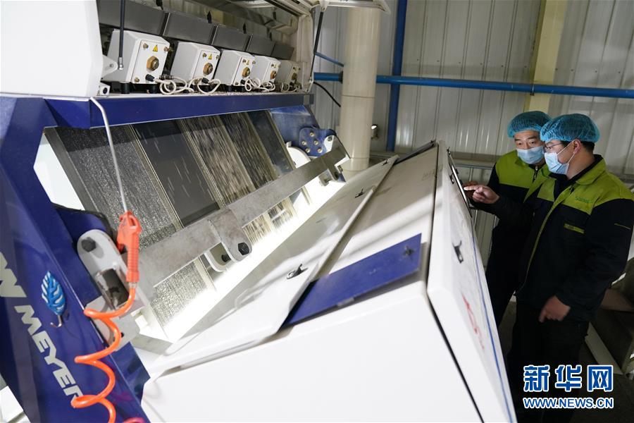 (在習(xí)近平新時代中國特色社會主義思想指引下——新時代新作為新篇章·習(xí)近平總書記關(guān)切事·圖文互動)(6)激發(fā)每個經(jīng)濟“細胞”的活力——千方百計把市場主體保護好