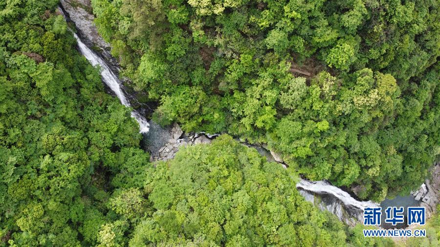 (在習(xí)近平新時(shí)代中國特色社會(huì)主義思想指引下——新時(shí)代新作為新篇章·習(xí)近平總書記關(guān)切事·圖文互動(dòng))(6)長三角的新答卷——“十三五”收官之年的長三角一體化新故事