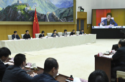 劉延東出席全國醫(yī)改工作電視電話會議并講話