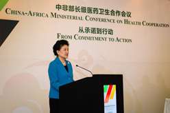 劉延東出席中非部長級醫(yī)藥衛(wèi)生合作會議