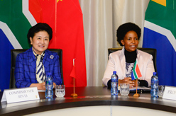 劉延東會見南非外長馬沙巴內(nèi)