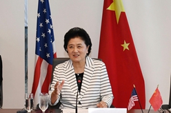 劉延東出席中美衛(wèi)生合作研討會