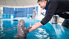 水生館里的&ldquo;長江國寶&rdquo;