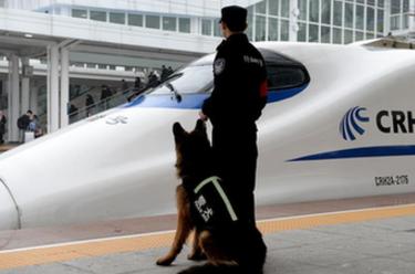 警犬&ldquo;神威&rdquo; 護(hù)航春運(yùn)