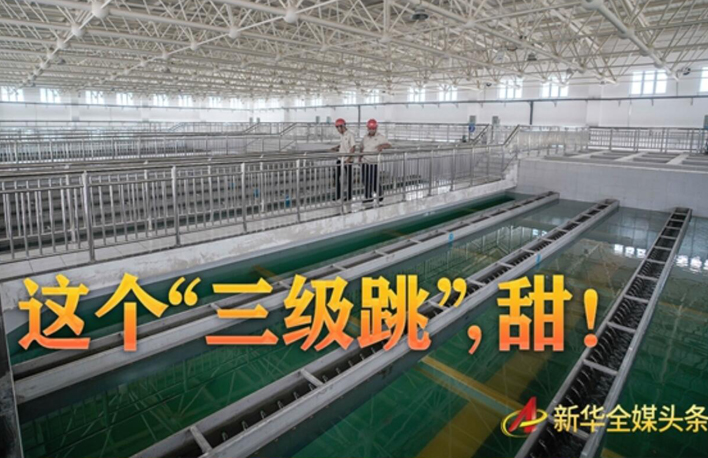 這個(gè)&ldquo;三級(jí)跳&rdquo;，甜！