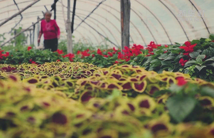 幸福來敲門丨多彩長(zhǎng)卷&middot;黑土地