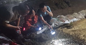 這群人&ldquo;留守&rdquo;在江心洲