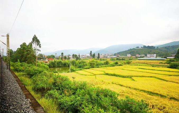 坐著高鐵看中國(guó)｜走成昆，感受闖過(guò)禁區(qū)的光影記錄