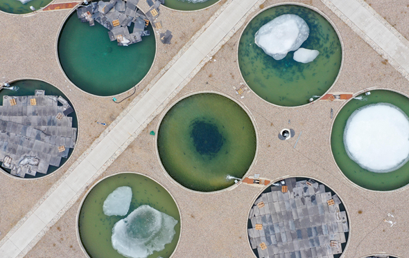 新疆鞏留縣:做好&ldquo;水文章&rdquo; 打造特色水產(chǎn)新名片