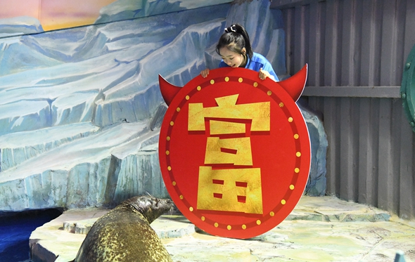 春節(jié)前夕，三通打回家的電話