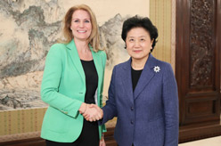 劉延東會見國際救助兒童會首席執(zhí)行官