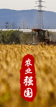 農(nóng)業(yè)強(qiáng)國是社會主義現(xiàn)代化強(qiáng)國的根基。