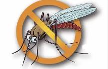 夏季，常見蚊蟲如何應(yīng)對