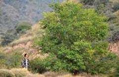 護林員李強的&ldquo;羅山之戀&rdquo;