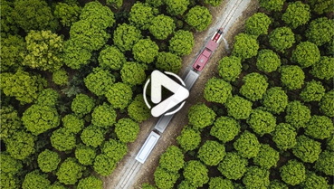 第十一集：你好！地球衛(wèi)士