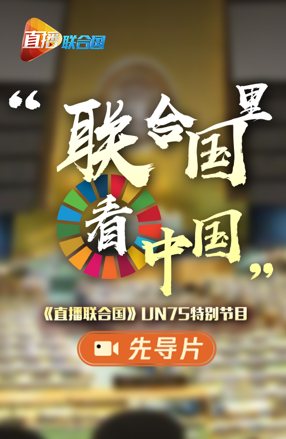 聯(lián)合國日，一起來看看他們眼中的中國