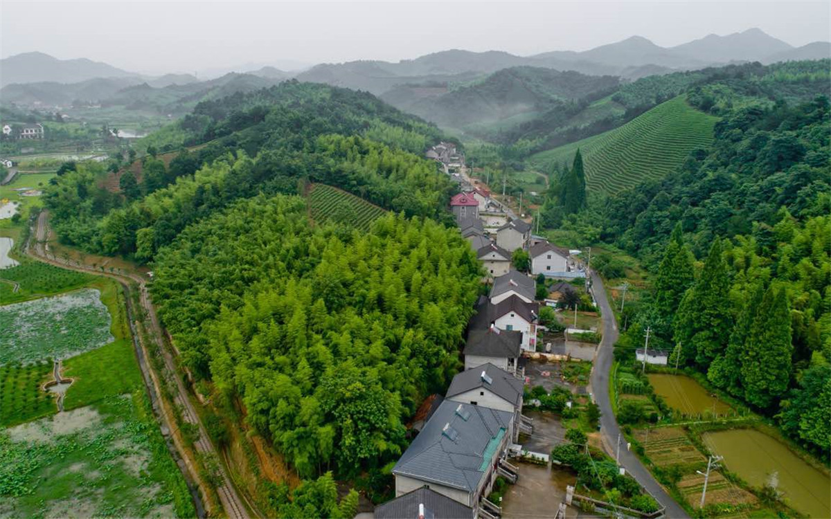 從2003年起，浙江省開展了&ldquo;千村示范、萬村整治&rdquo;工程