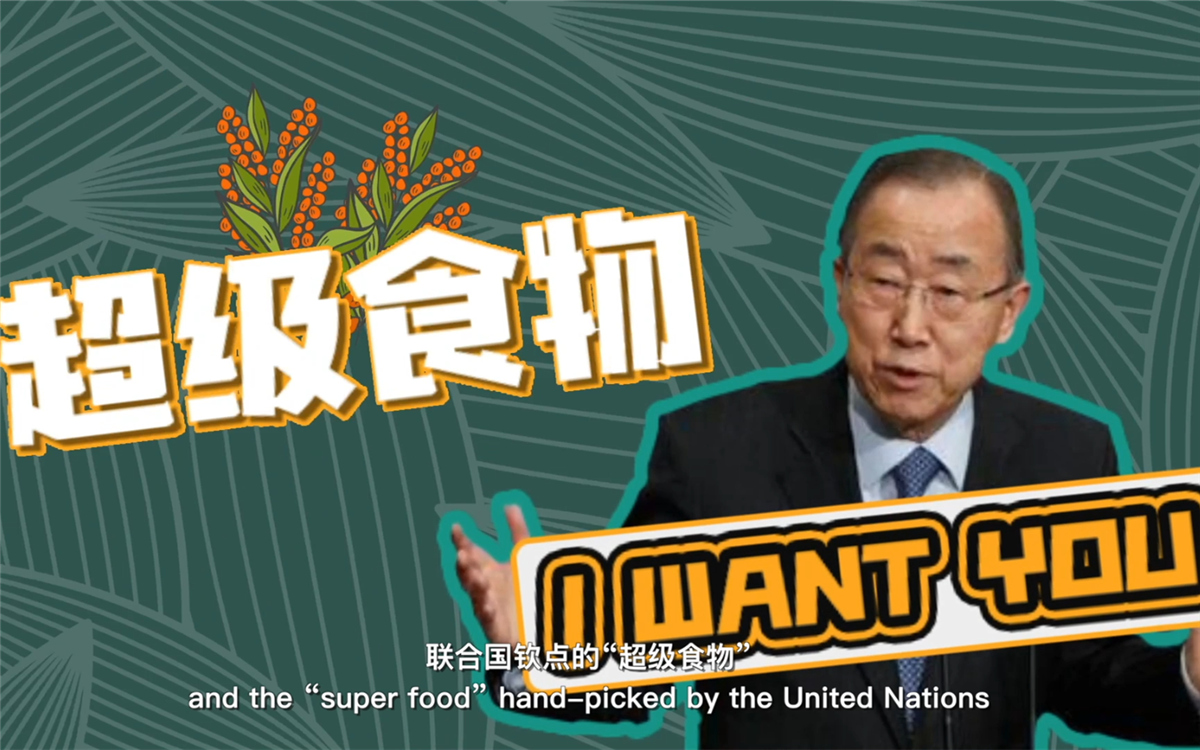 聯(lián)合國將藜麥視為抗擊饑餓的&ldquo;超級食物&rdquo;，大力推廣