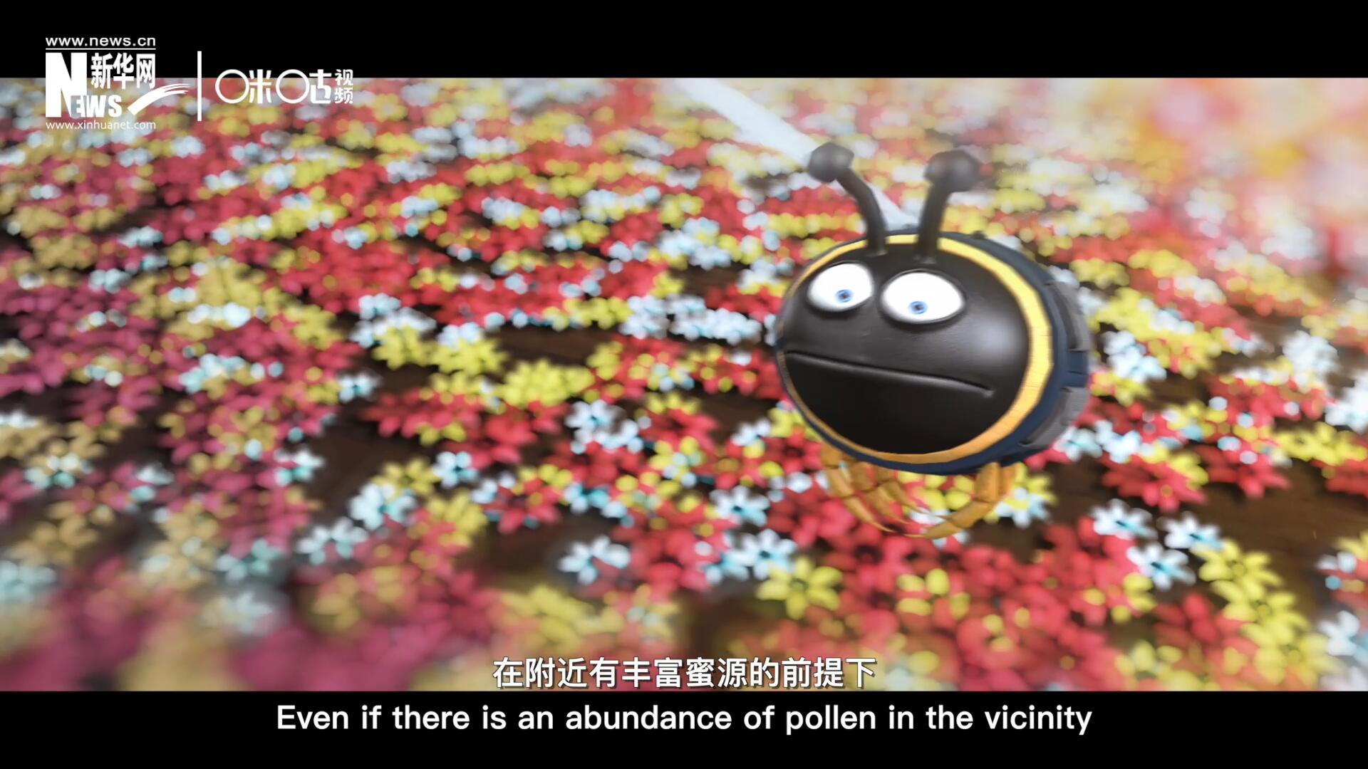 你知道一只蜜蜂采一公斤蜜有多辛苦嗎？據(jù)統(tǒng)計(jì)，在附近有豐富蜜源的前提下，一只蜜蜂大約需要飛行四萬(wàn)千米