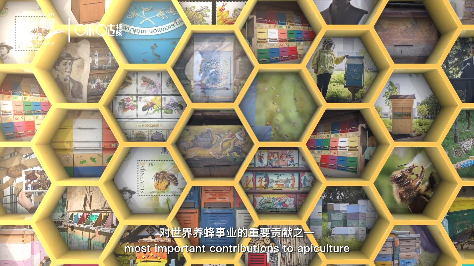 他開始用色彩豐富的畫作來(lái)裝飾蜂巢的前板，幫助不同蜂群按照習(xí)性和顏色順利找到自己的蜂巢