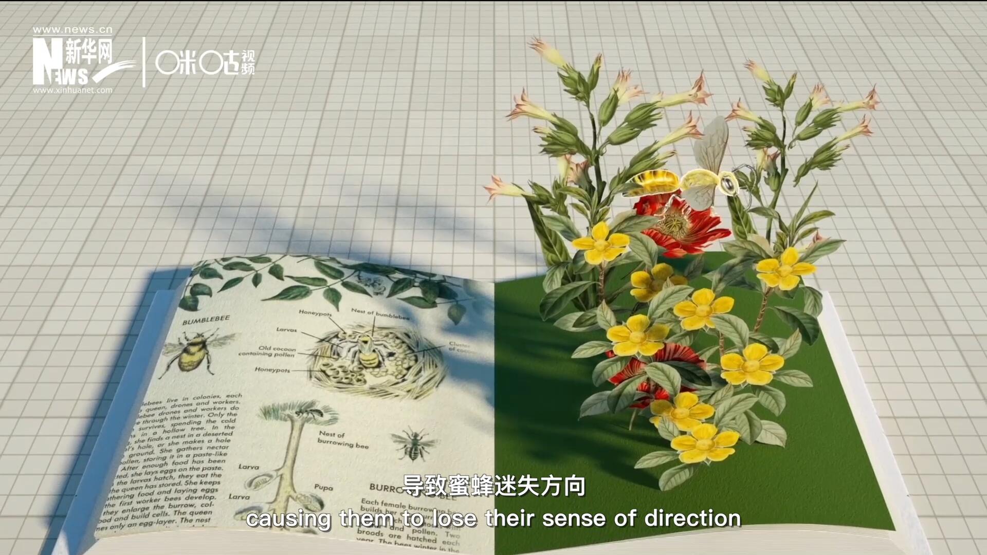 殺蟲劑會(huì)破壞蜜蜂的神經(jīng)系統(tǒng)，導(dǎo)致蜜蜂迷失方向，無(wú)法回到蜂房，還會(huì)降低蜜蜂的抵抗力