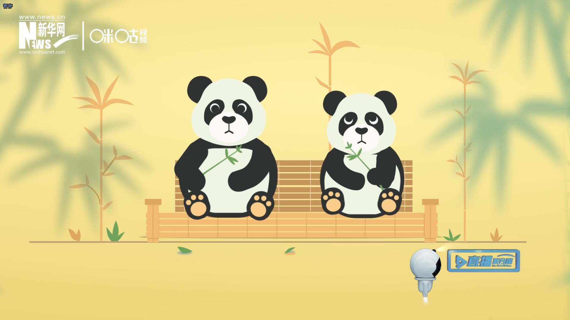 &ldquo;哥哥你看，又有人來看我們了。&rdquo;&ldquo;有什么奇怪的，我們可是聯(lián)合國&lsquo;最萌&rsquo;的大使?。?rdquo;。