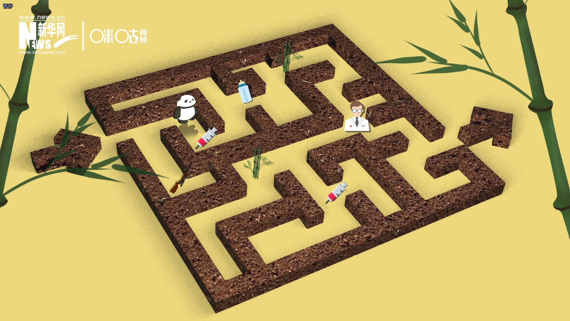 2016年，國際自然保護聯(lián)盟將大熊貓的物種瀕危等級，從&ldquo;瀕危&rdquo;下降到了&ldquo;易危&rdquo;。