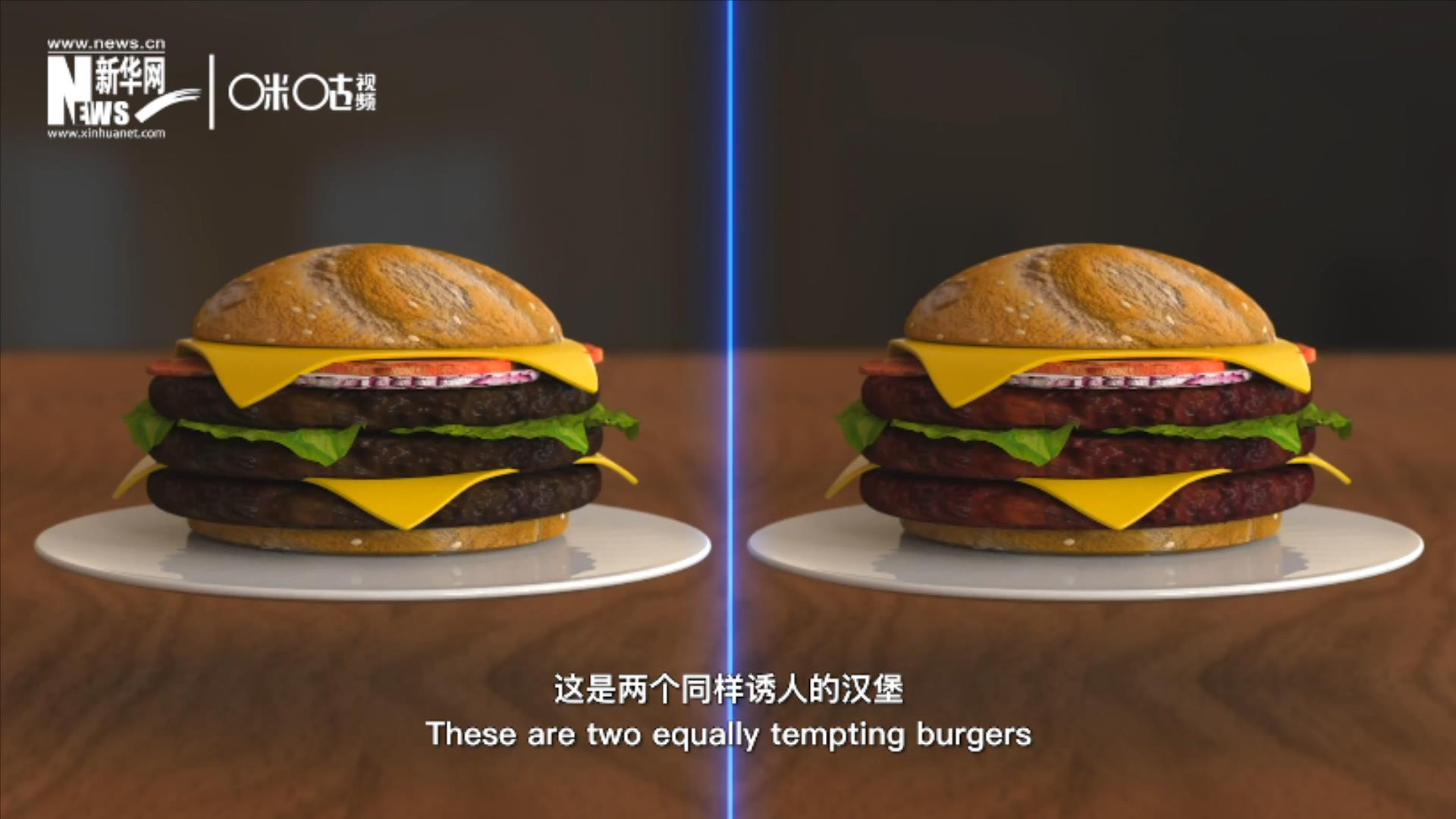 人造肉漢堡能在生產(chǎn)過程中節(jié)約水、土地、排放以及能量