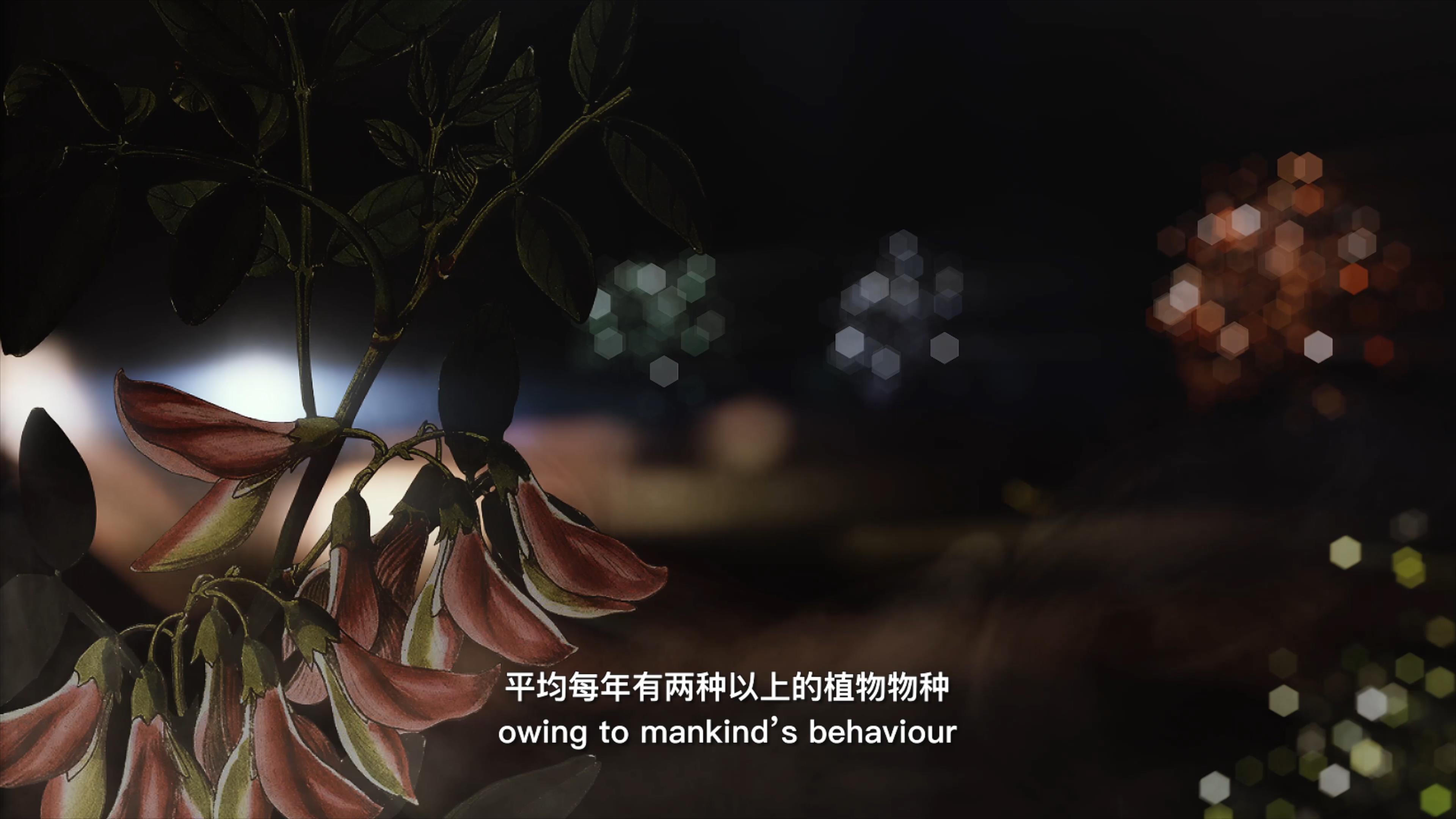 自18世紀(jì)中葉以來，許多植物物種因為人類的原因而從地球上消失