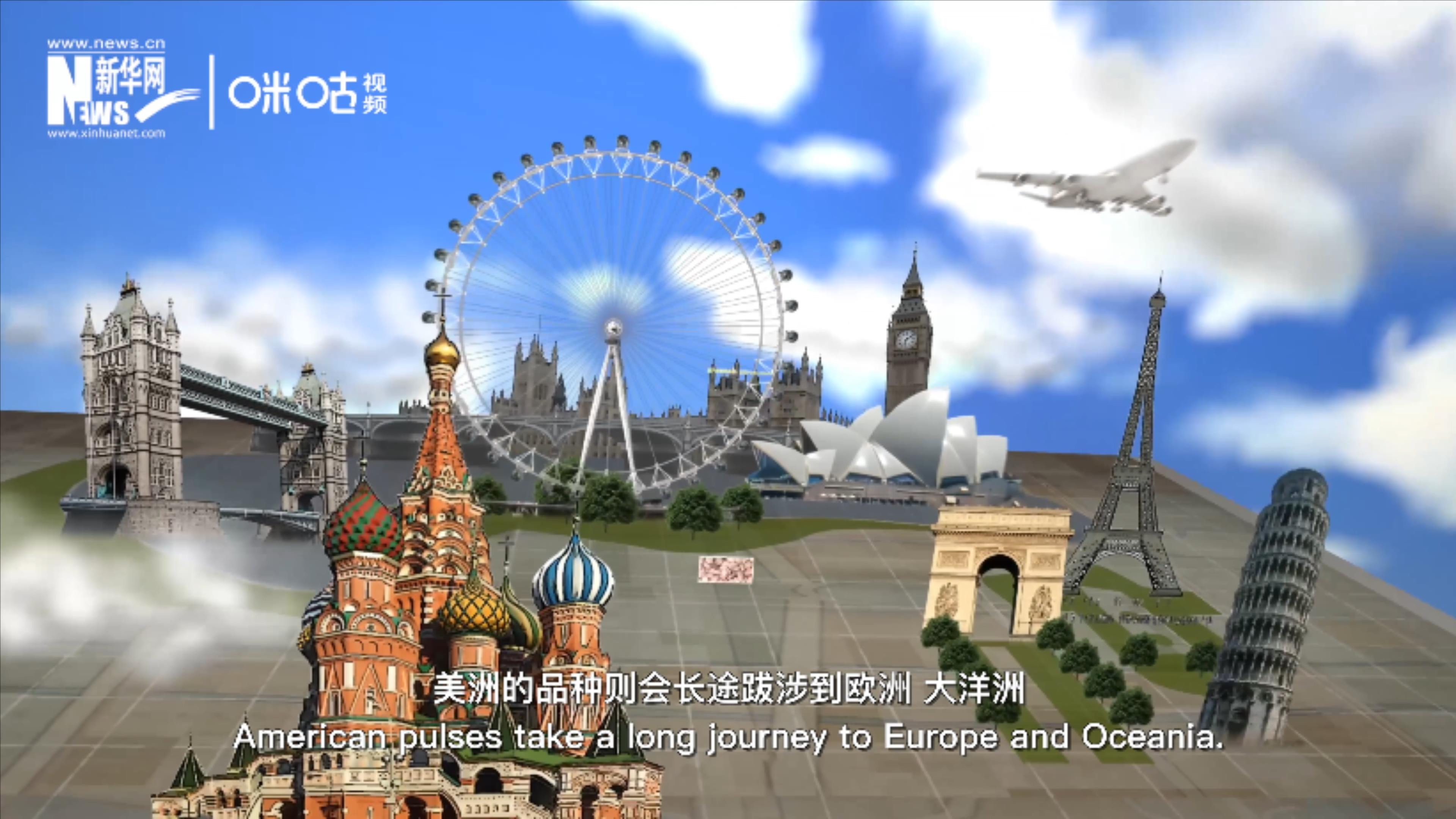 遍布世界各地的豆類可以說是國(guó)家間的通用語(yǔ)言