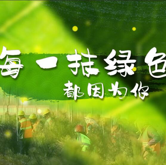 千年秀林，每一抹綠色都因?yàn)槟? /></a>       
<div   id=