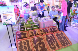 惠民項目農(nóng)科城