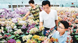 臺商眼中的改革開放：風景這邊獨好 要去，要去，要去！