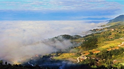 臺胞臺商熱議陜西惠臺&ldquo;60條&rdquo;：期盼落實、共享機遇