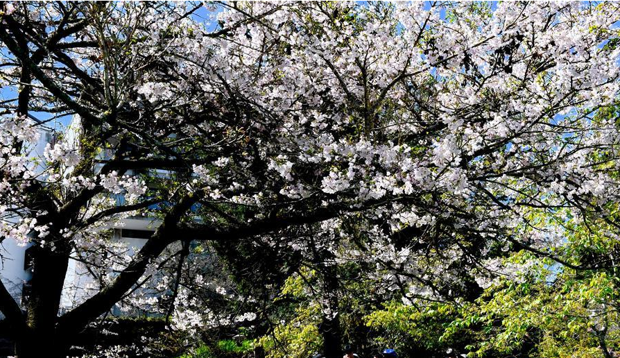 生態(tài)中國(guó)&middot;山清水秀瞰寶島