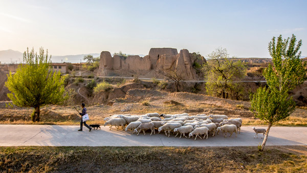 追夢足跡｜上馬圈：鐵馬冰河，黃土斑駁