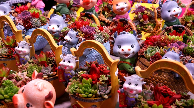 就地過年 你準(zhǔn)備好了嗎？